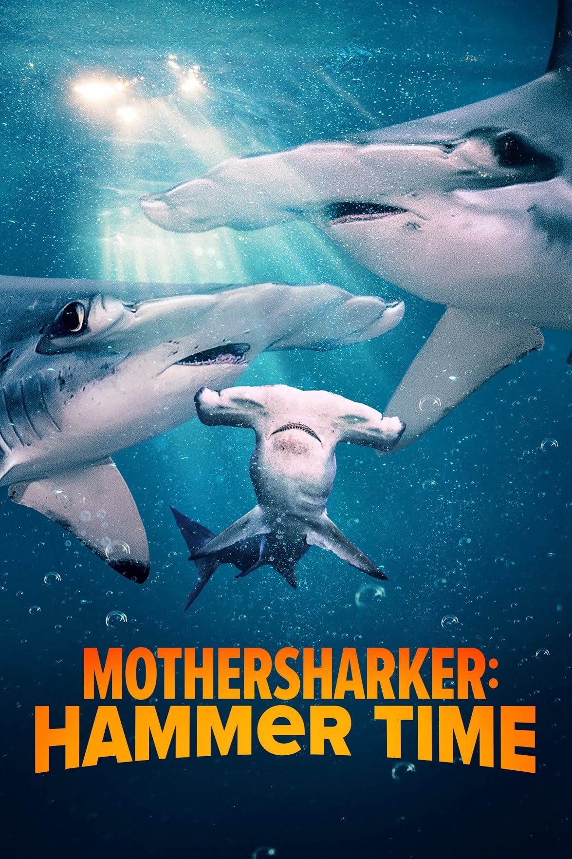 Poster de Mothersharker: Hammer Time
