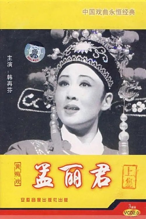 Poster de 孟丽君