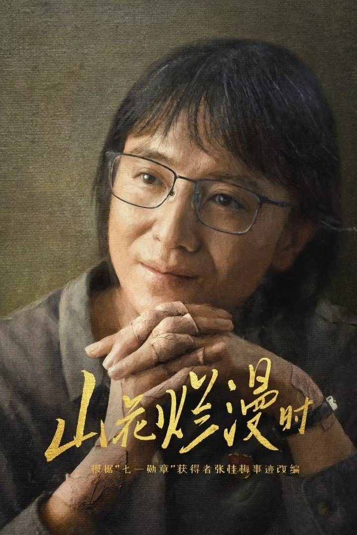 Poster de 山花烂漫时