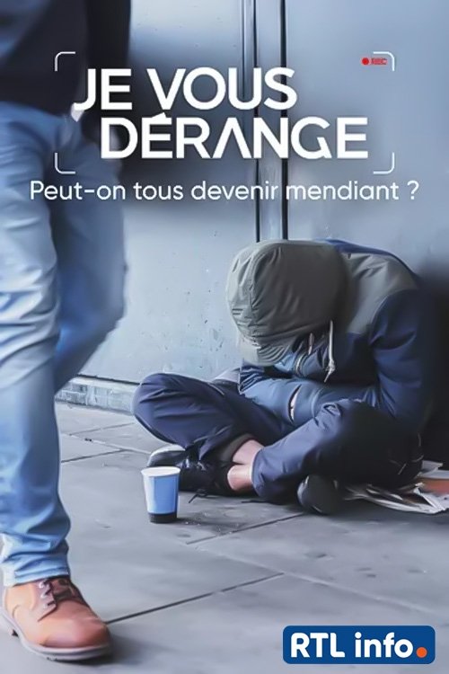 Poster de Je vous dérange