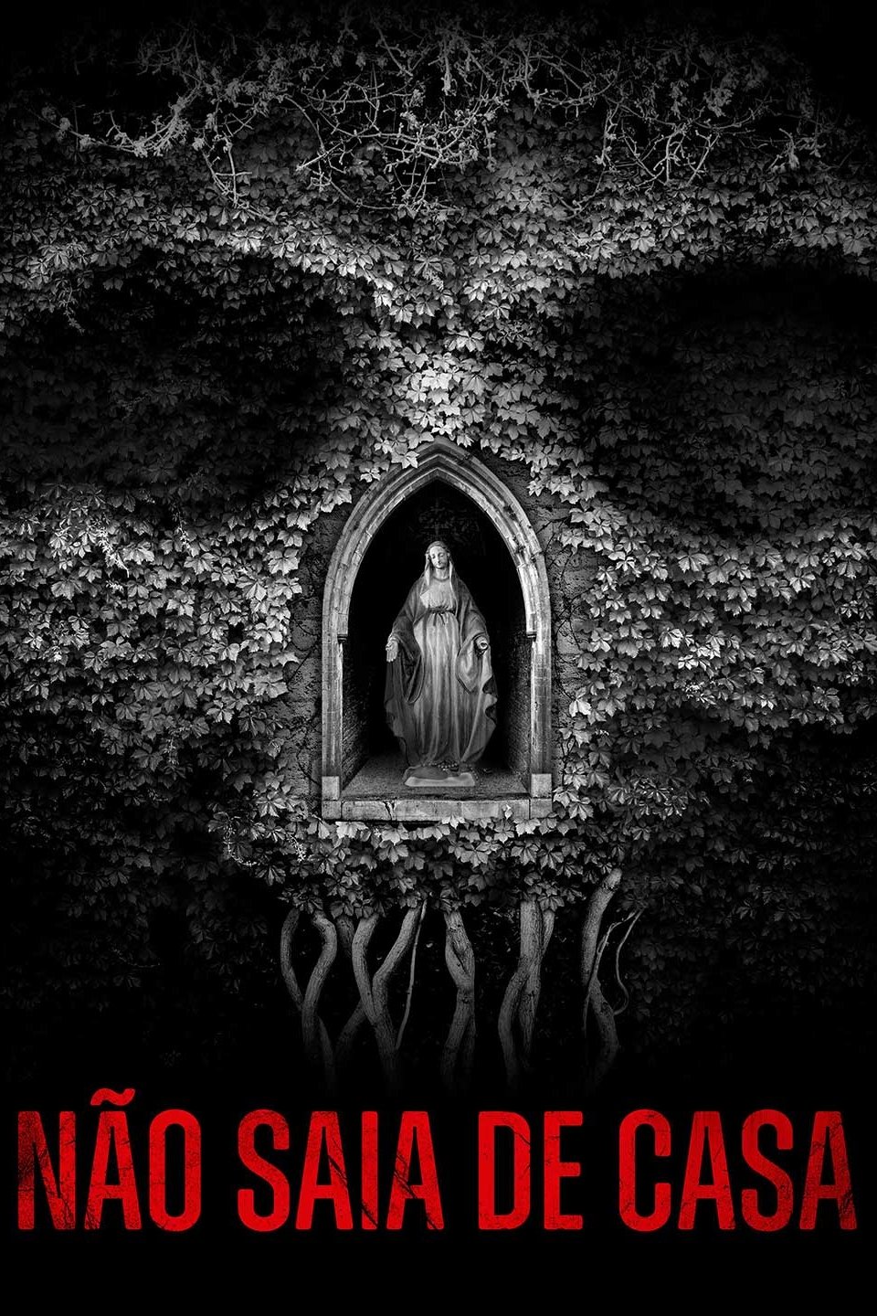 Poster de Não Saia de Casa