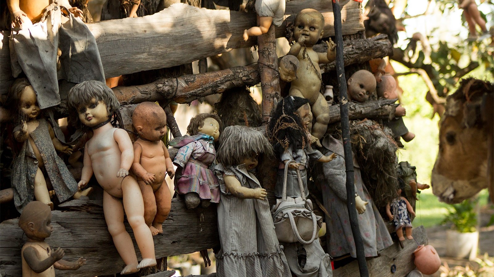Island of the Dolls Collection