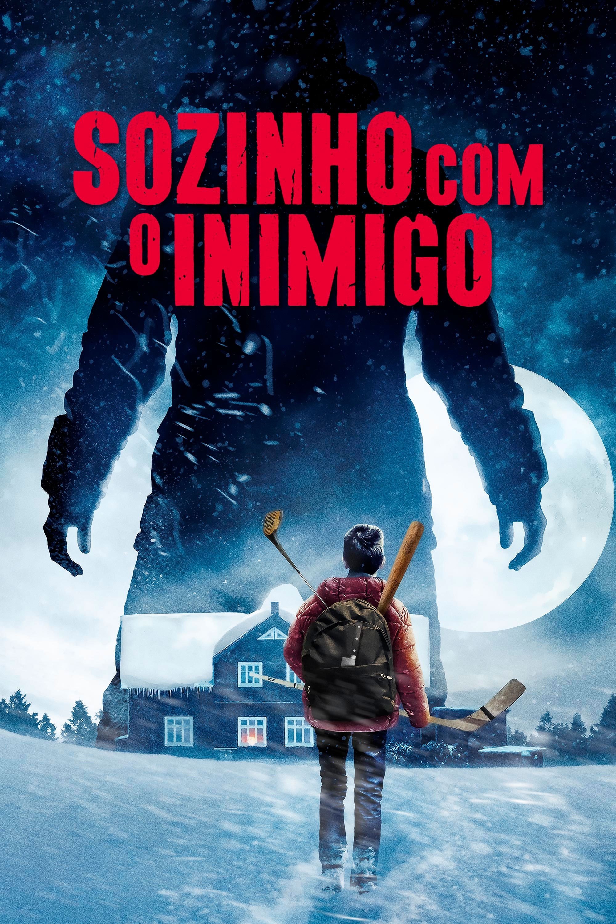 Poster de Sozinho com o Inimigo