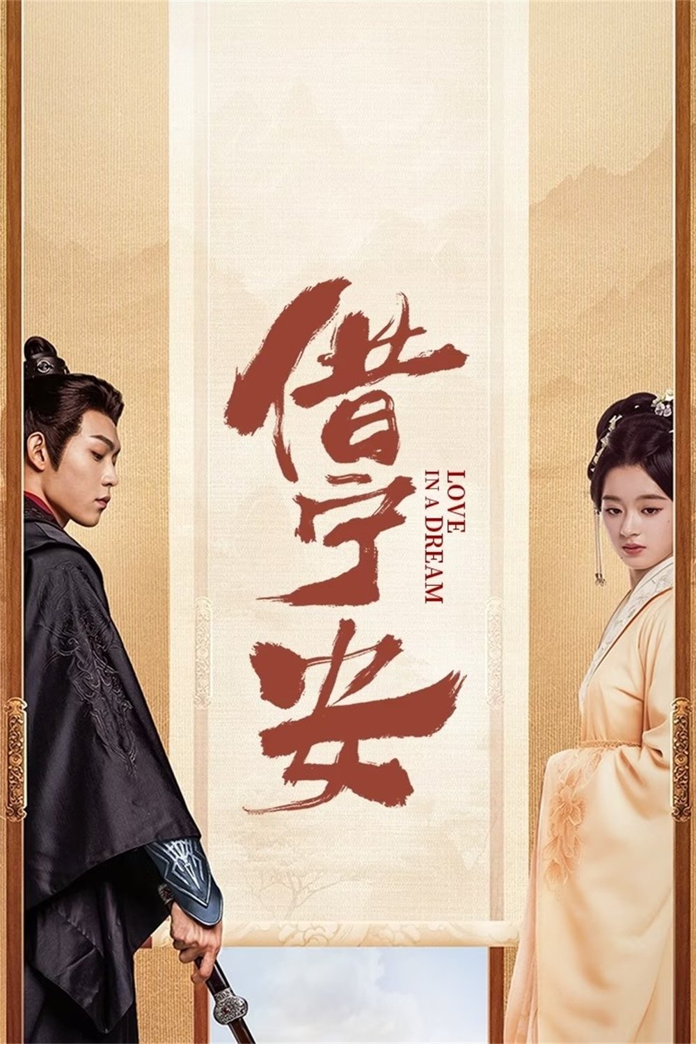 Poster de 借宁安
