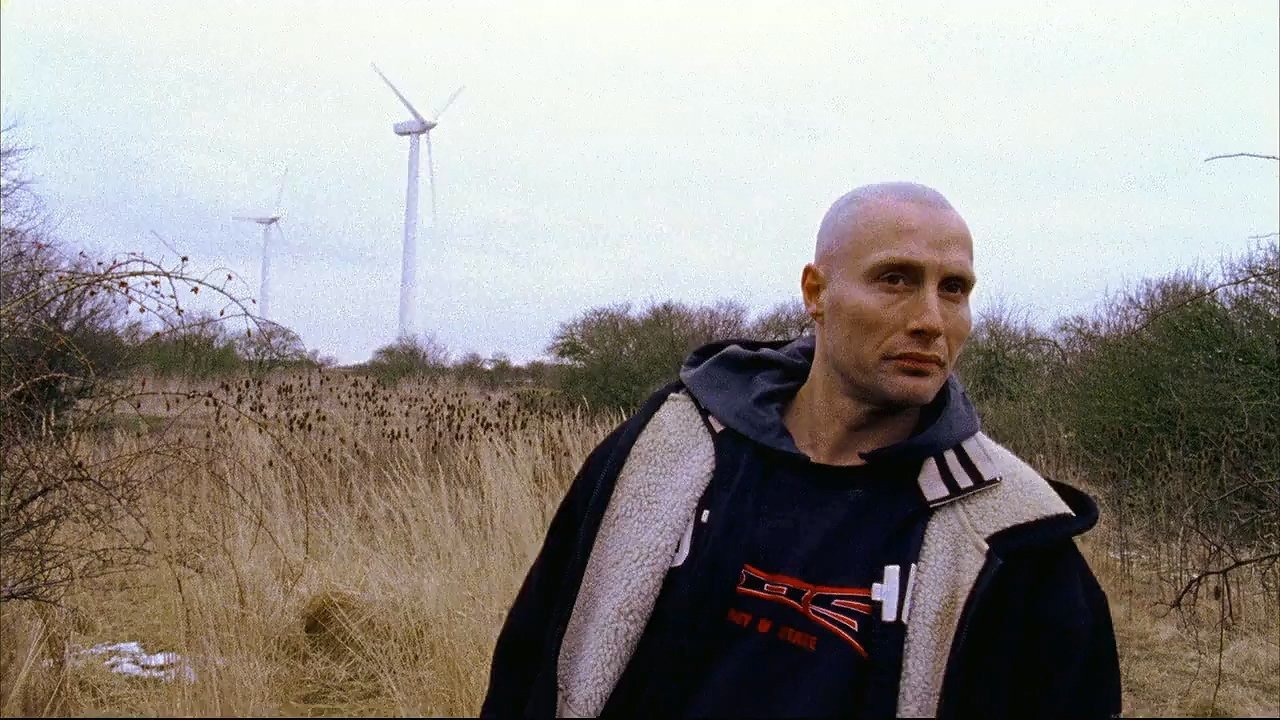 Image 5