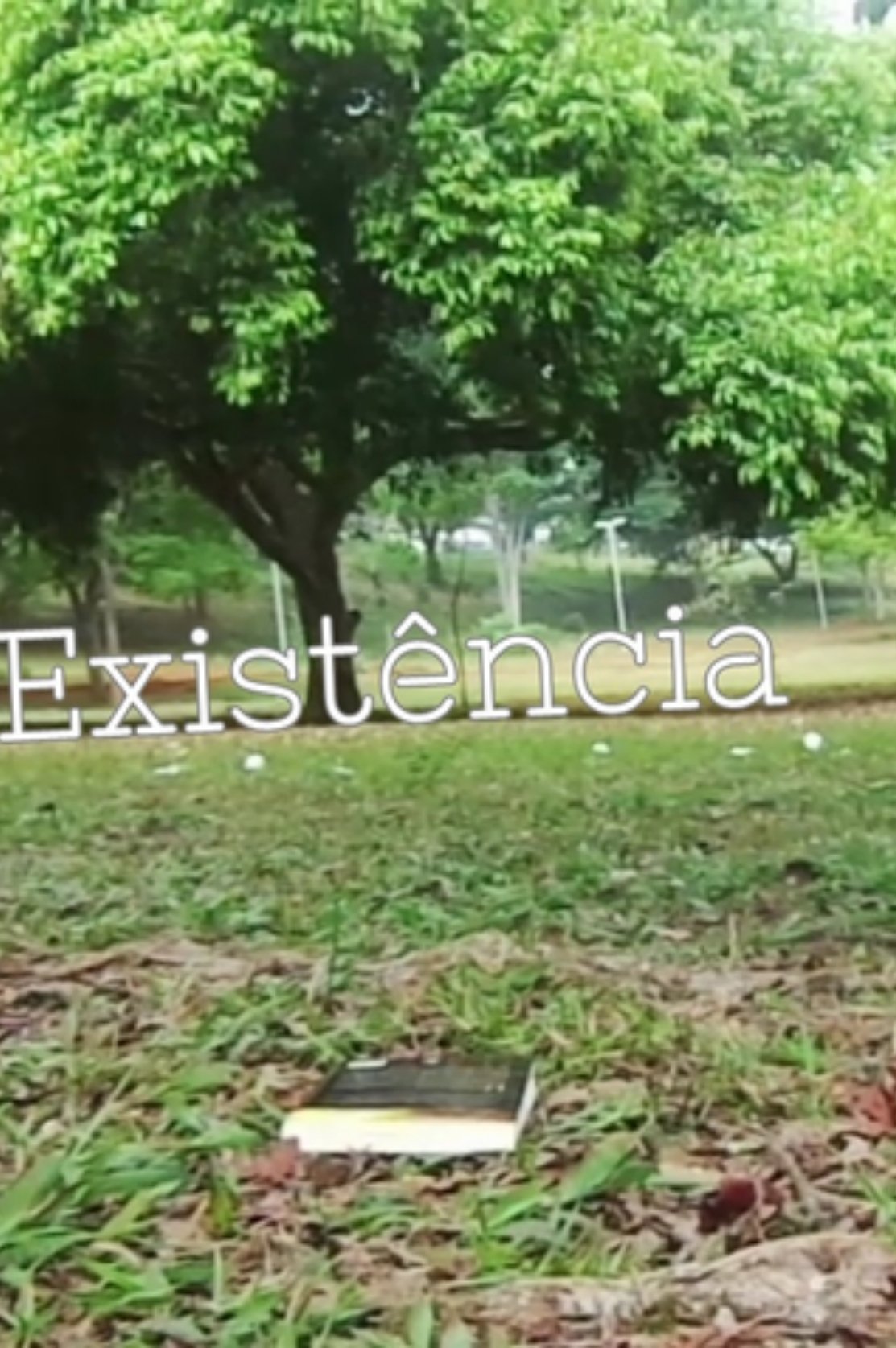 Poster de Existência