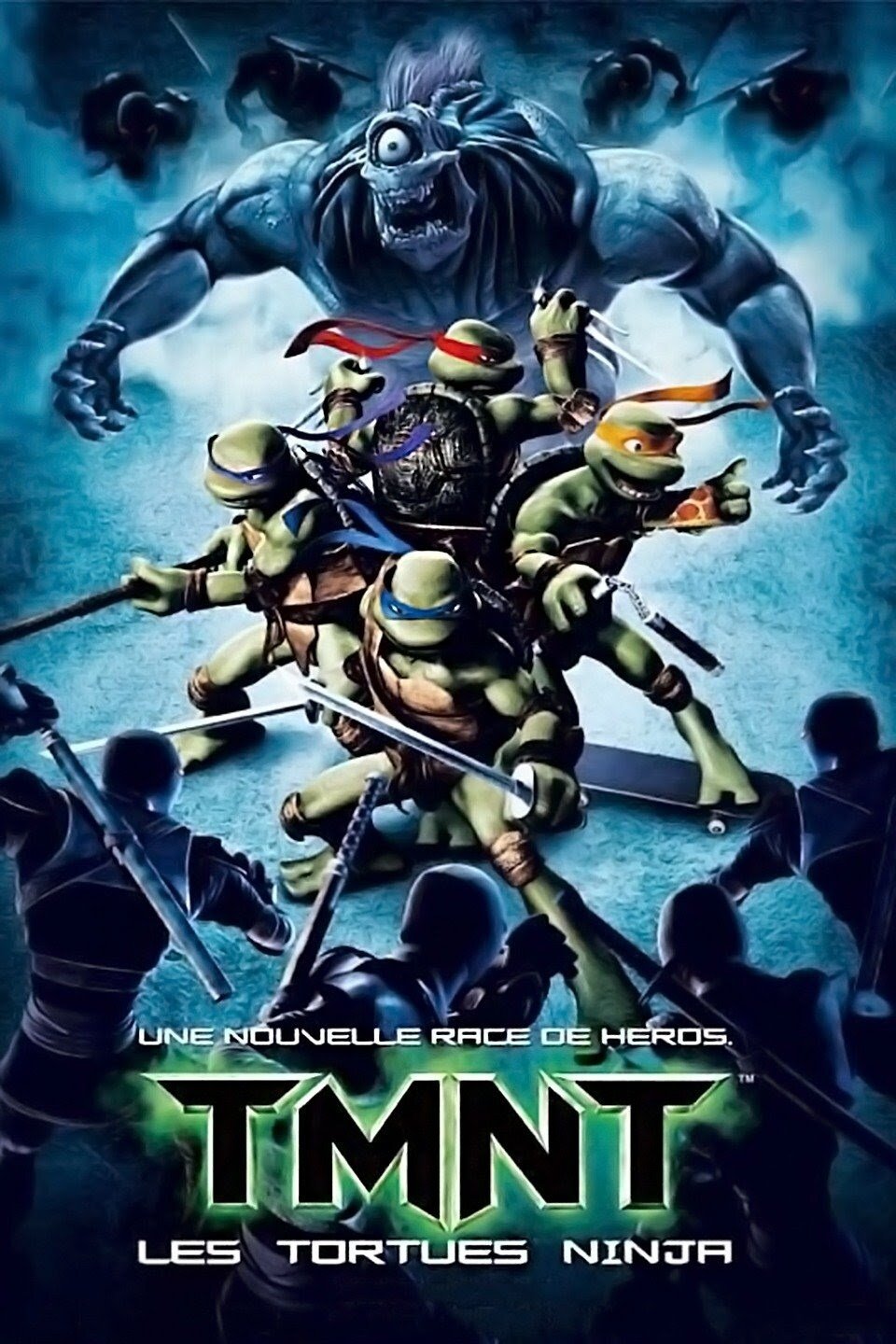 Affiche du film TMNT