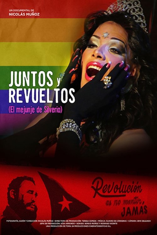 Poster de Juntos y revueltos: El mejunje de Silverio