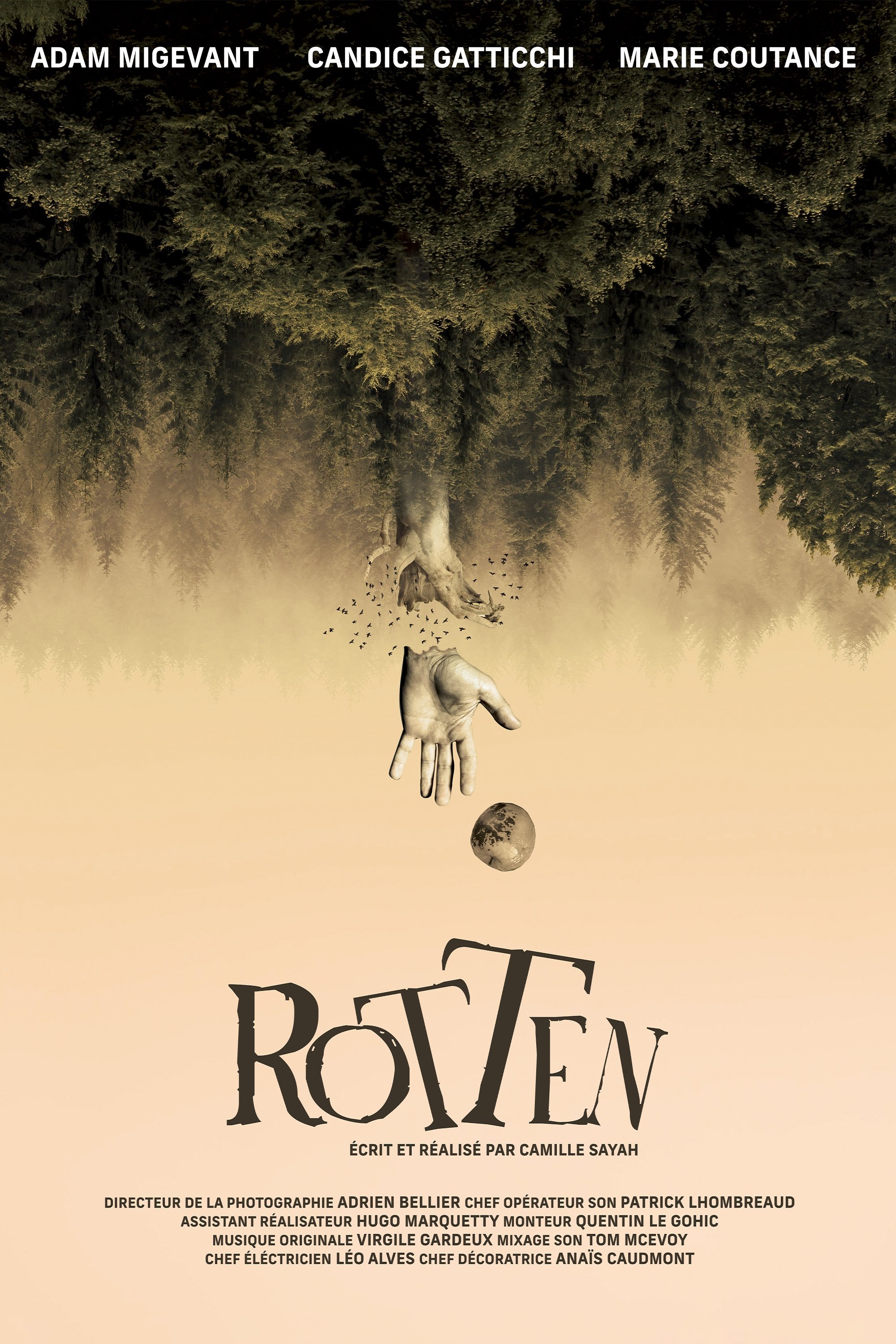 Poster de Rotten