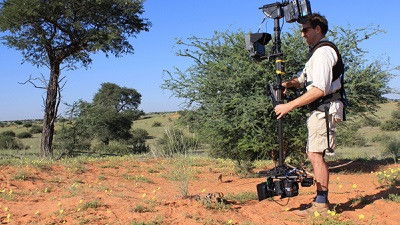 Wildlife Film Making