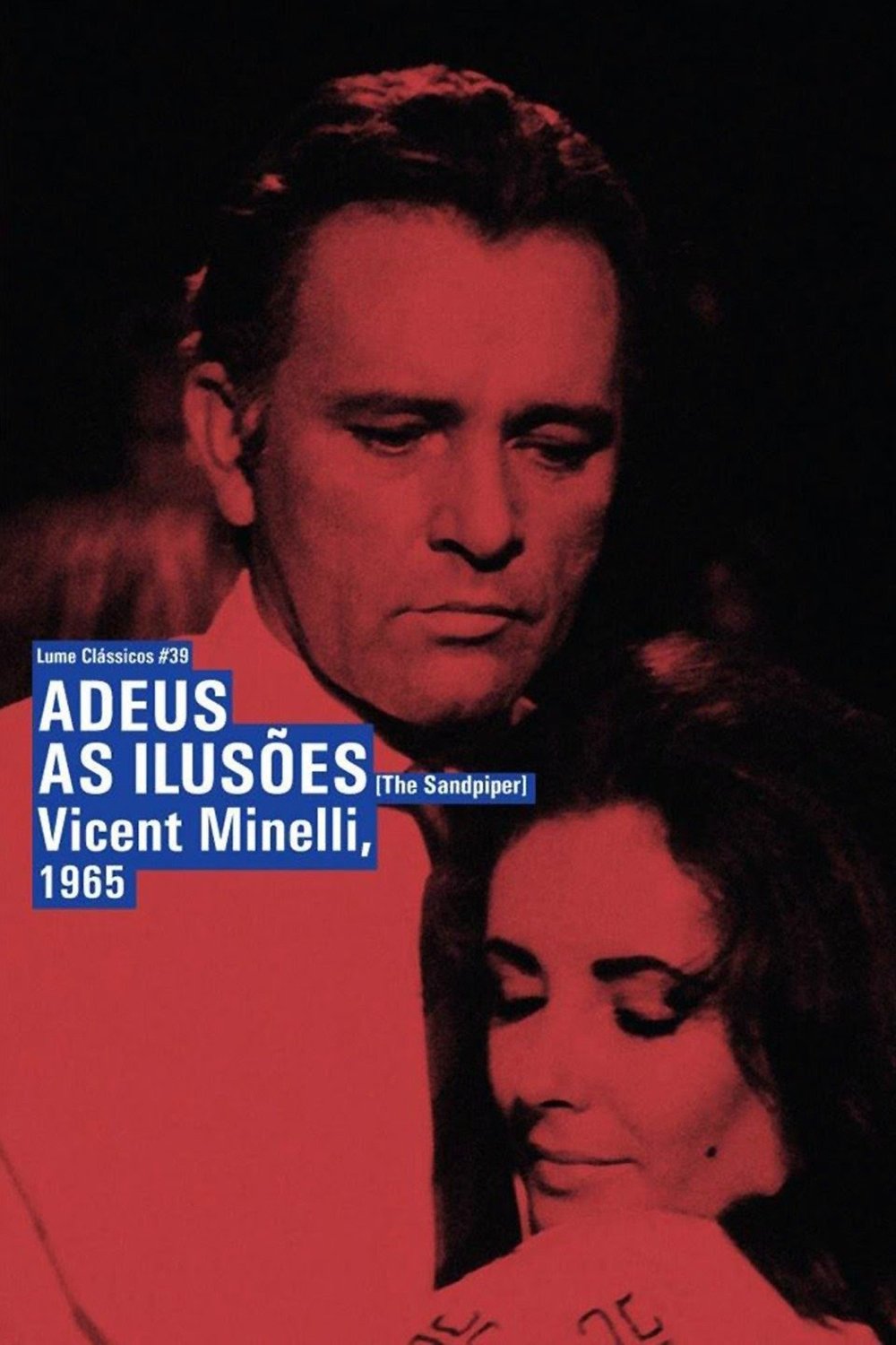 Poster de Adeus às Ilusões