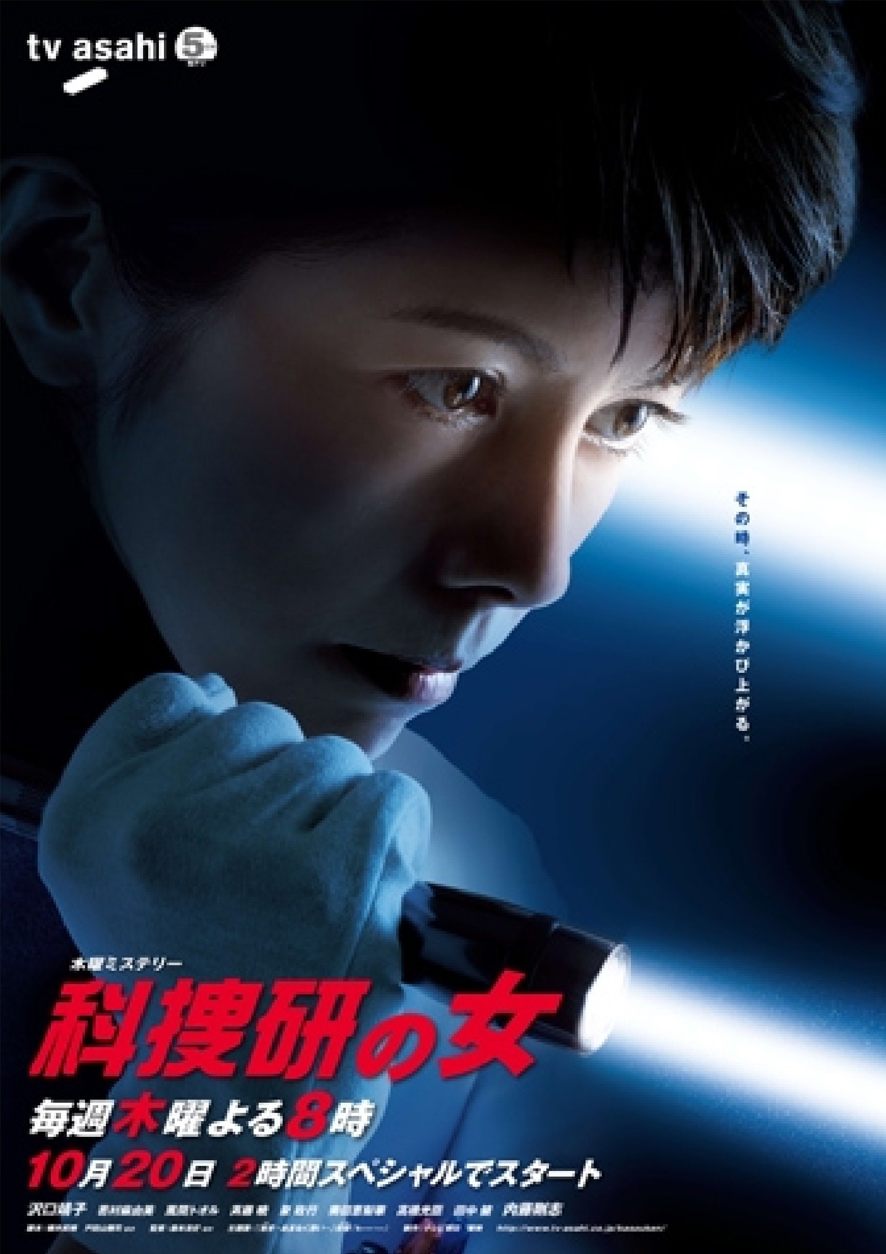 Poster de Temporada 11