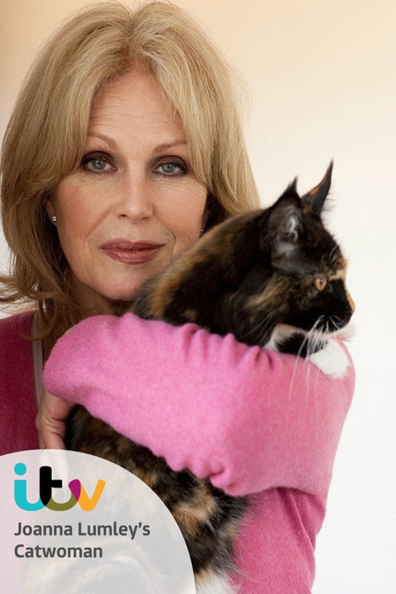 Poster de Joanna Lumley - Catwoman