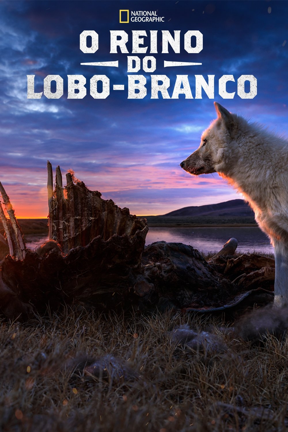 Poster de Temporada 1