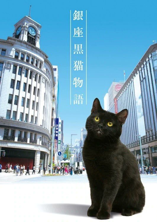 Poster de 銀座黒猫物語