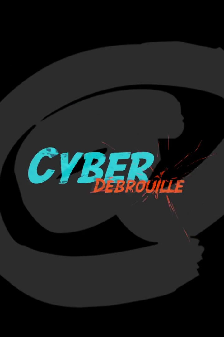 Poster de Cyberdebrouille