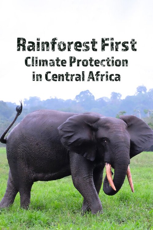Poster de Rainforest First: Climate Protection in Central Africa