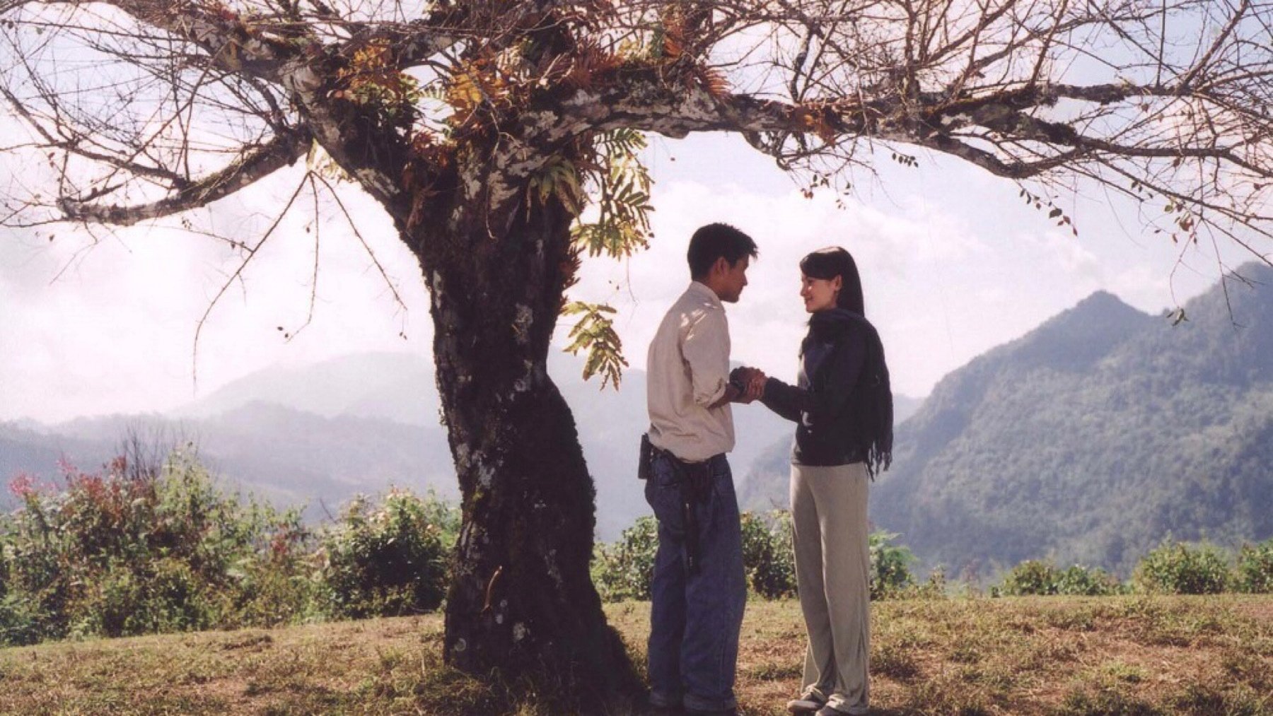 Backdrop image