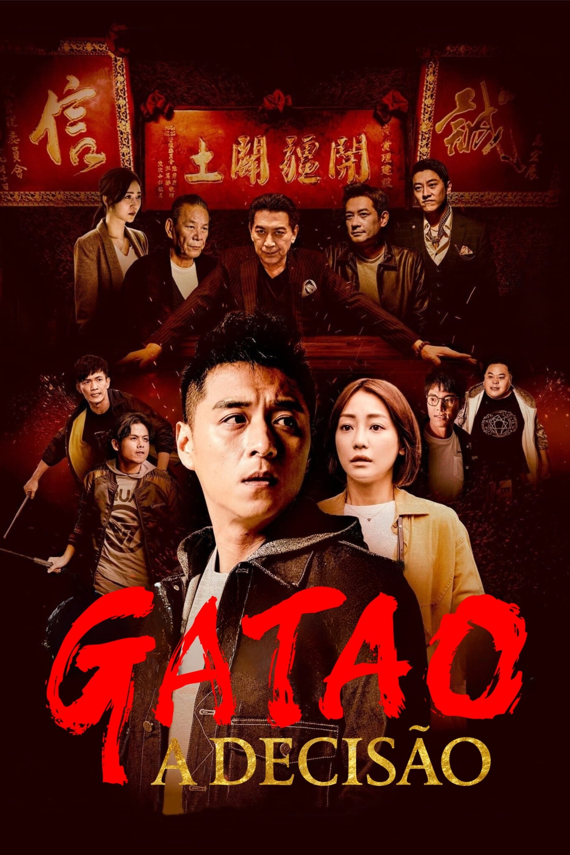 Poster de Gatao: A Decisão