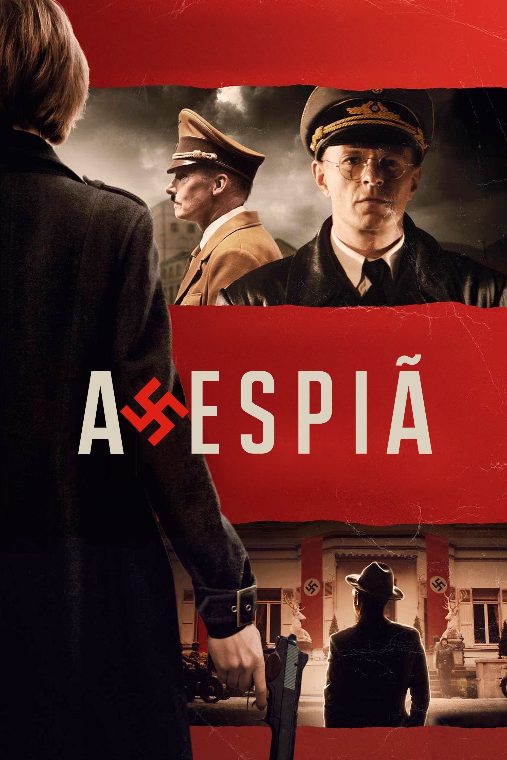 Poster de A Espiã