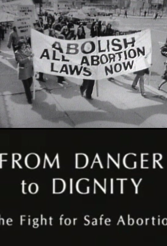 Poster de From Danger to Dignity: The Fight For Safe Abortion
