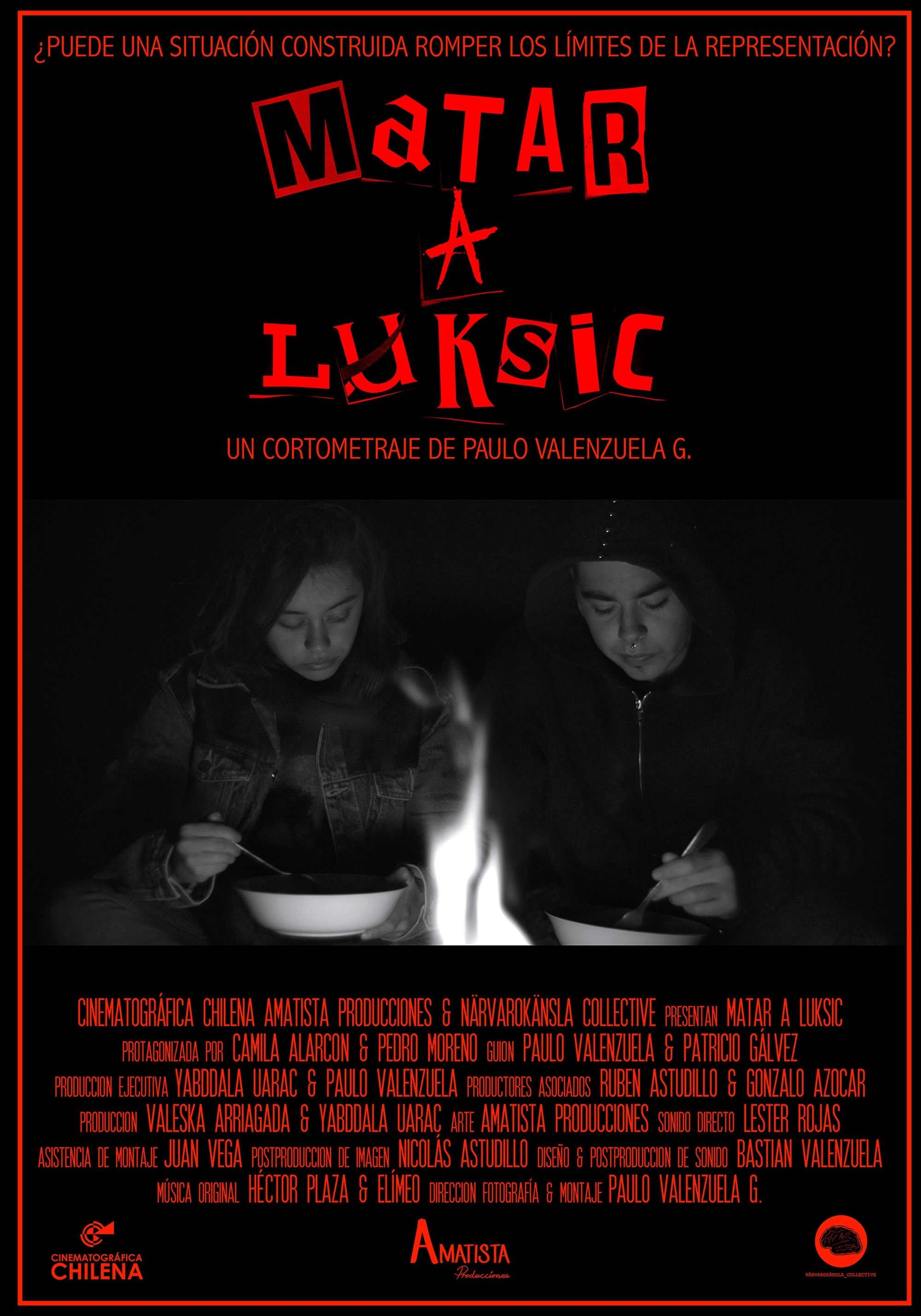 Poster de Matar a Luksic