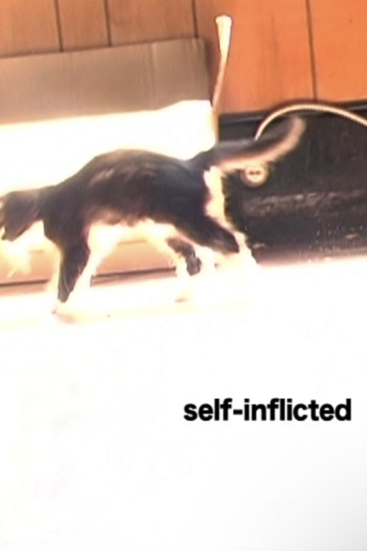 Poster de Self-Inflicted