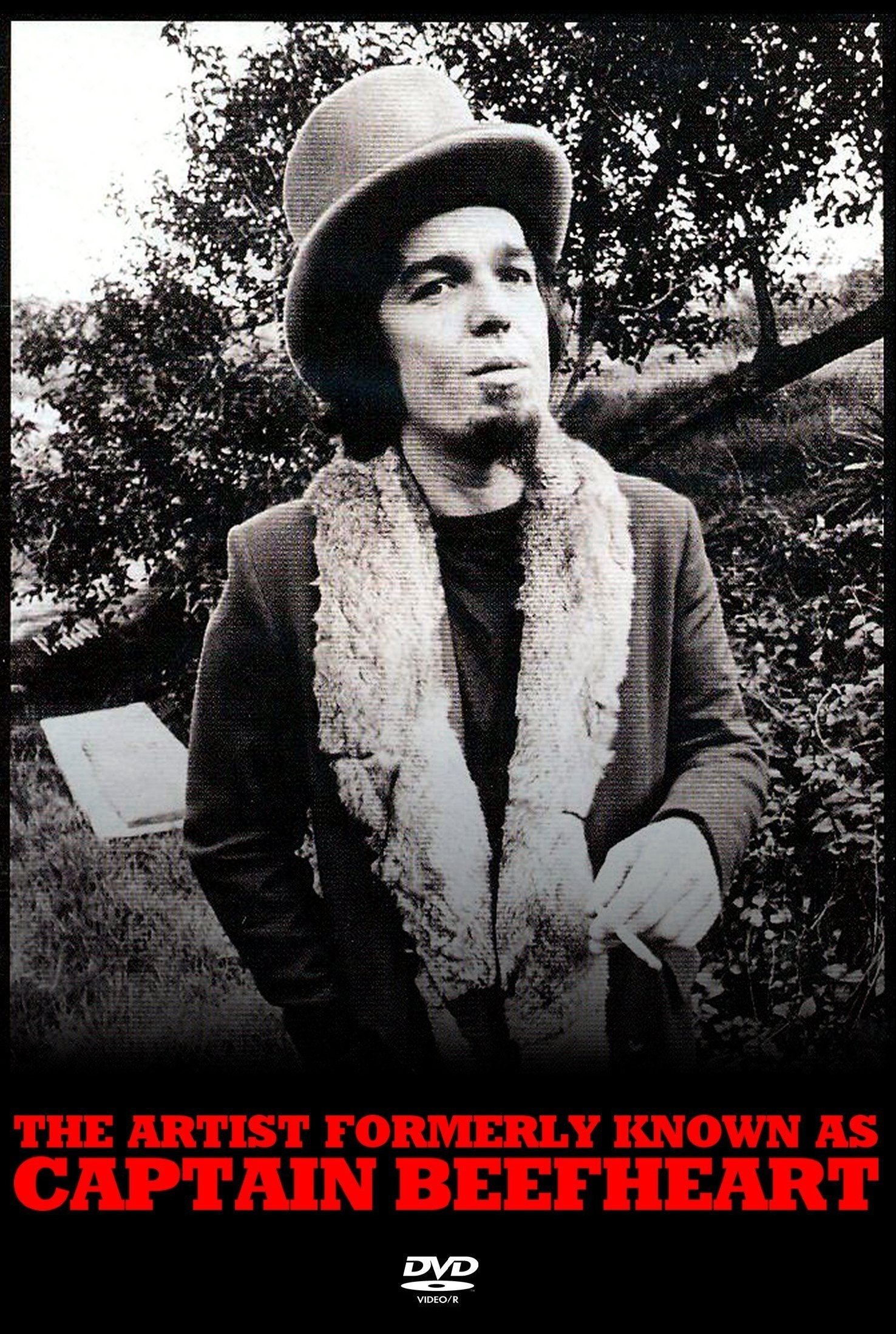 Poster de The Artist Formerly Known As Captain Beefheart