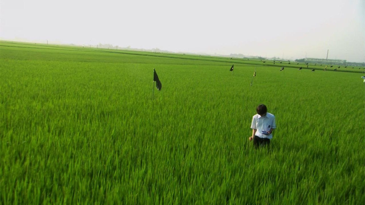 backdrops