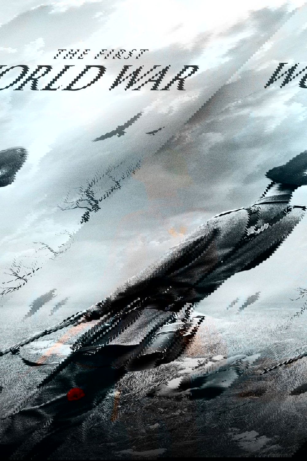 Poster de The First World War