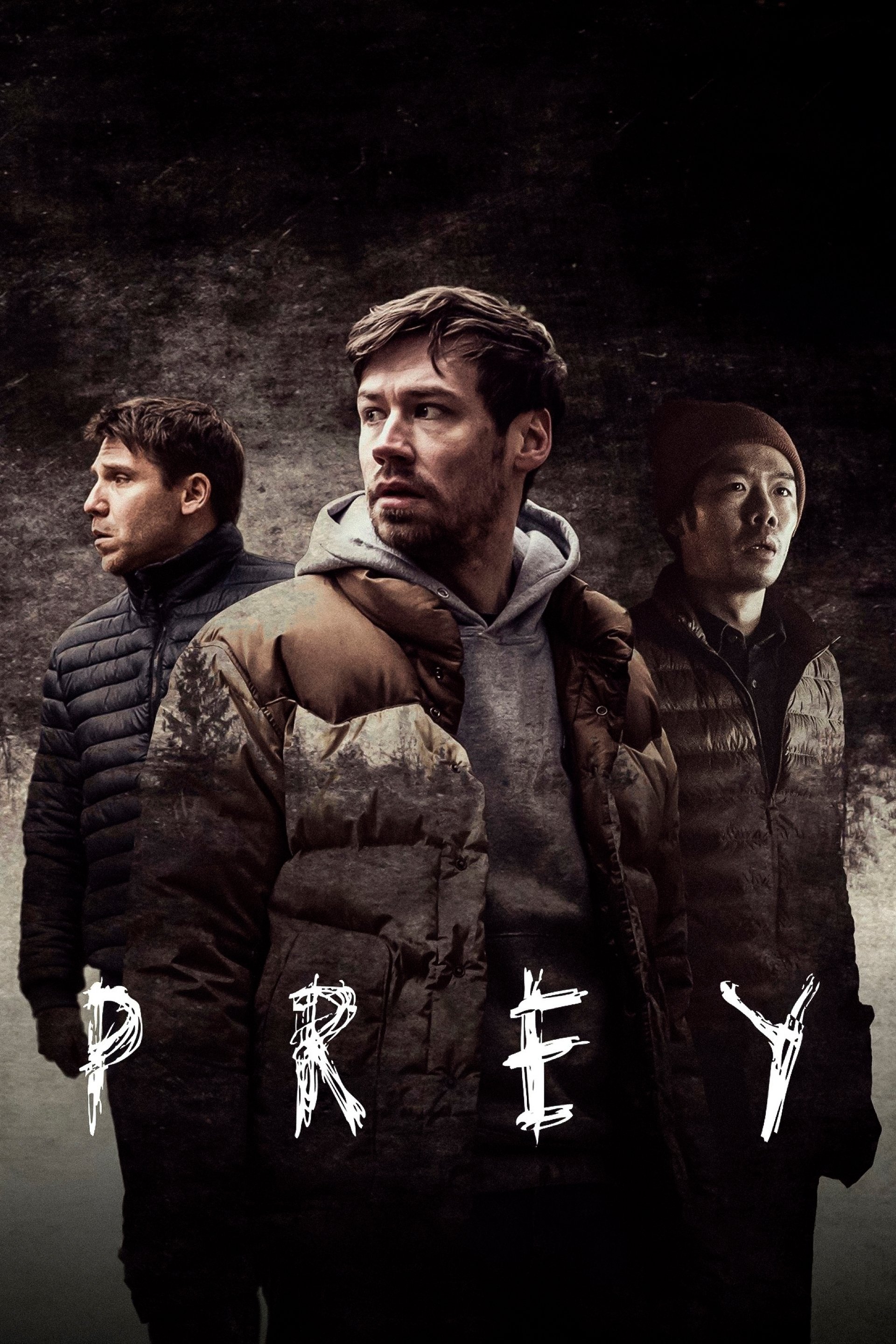 Affiche du film Comme des proies