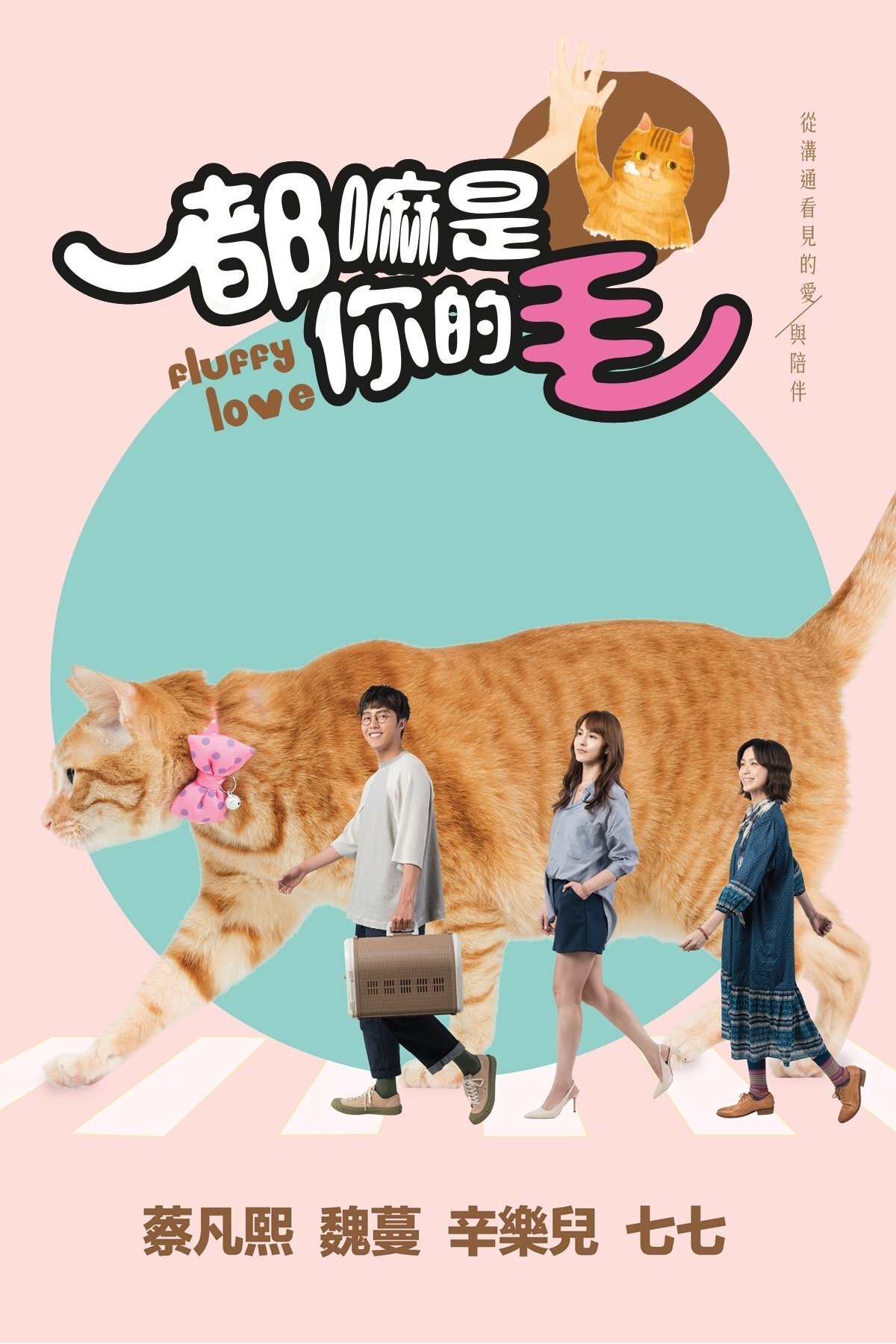 Poster de 都嘛是你的毛