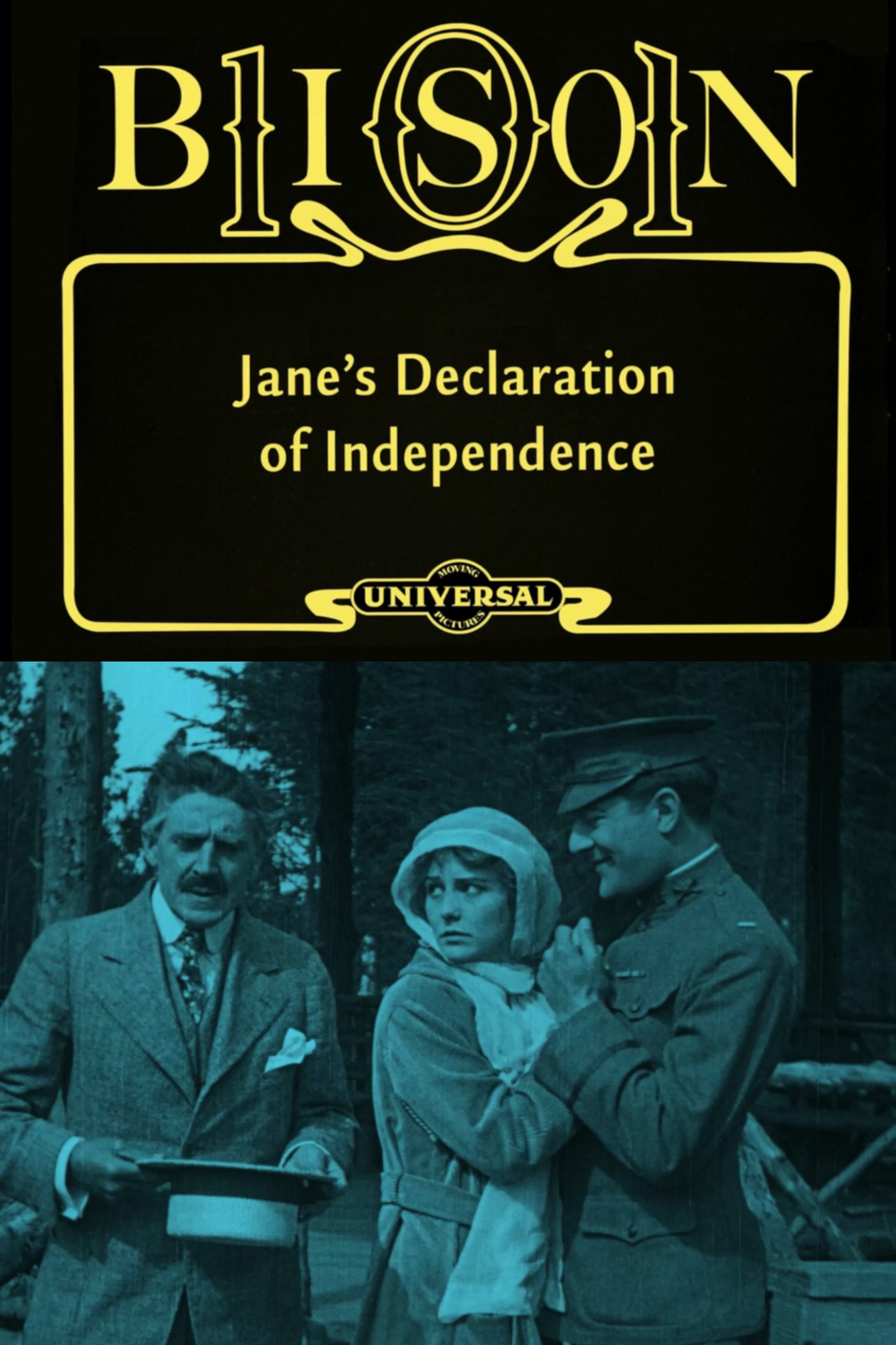 Poster de Jane's Declaration of Independence