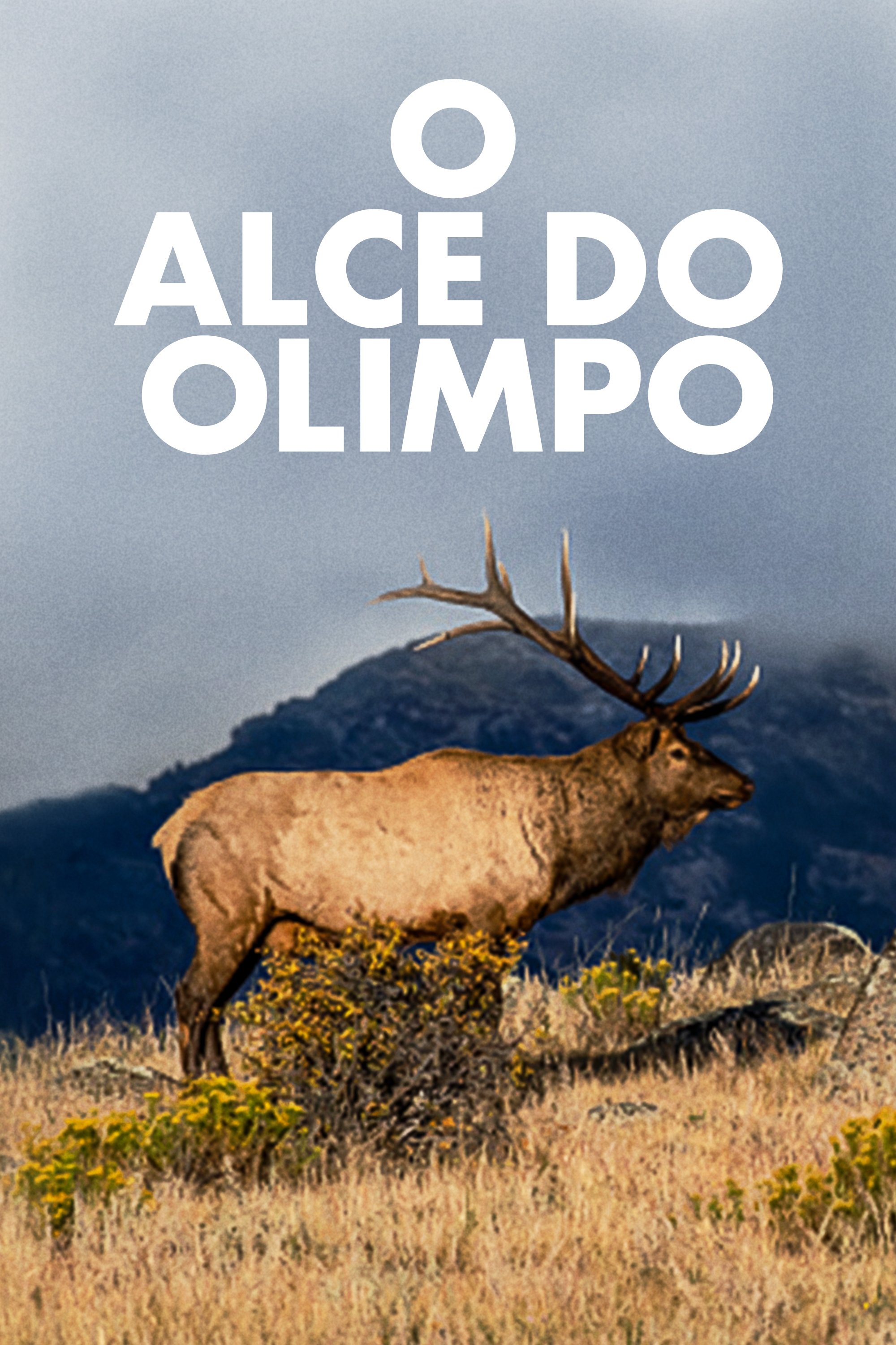 Poster de O Alce do Olimpo
