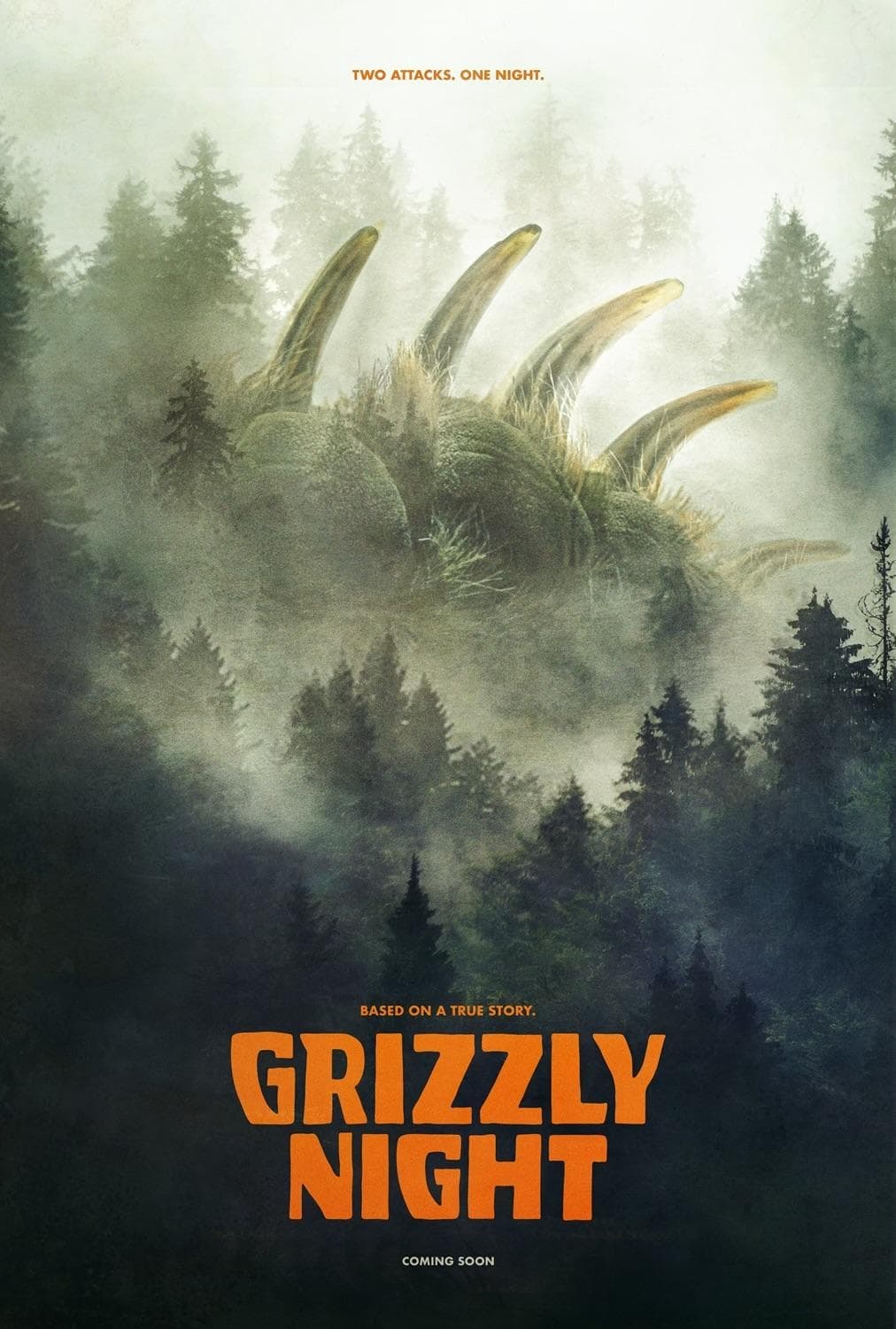 Affiche du film Grizzly Night
