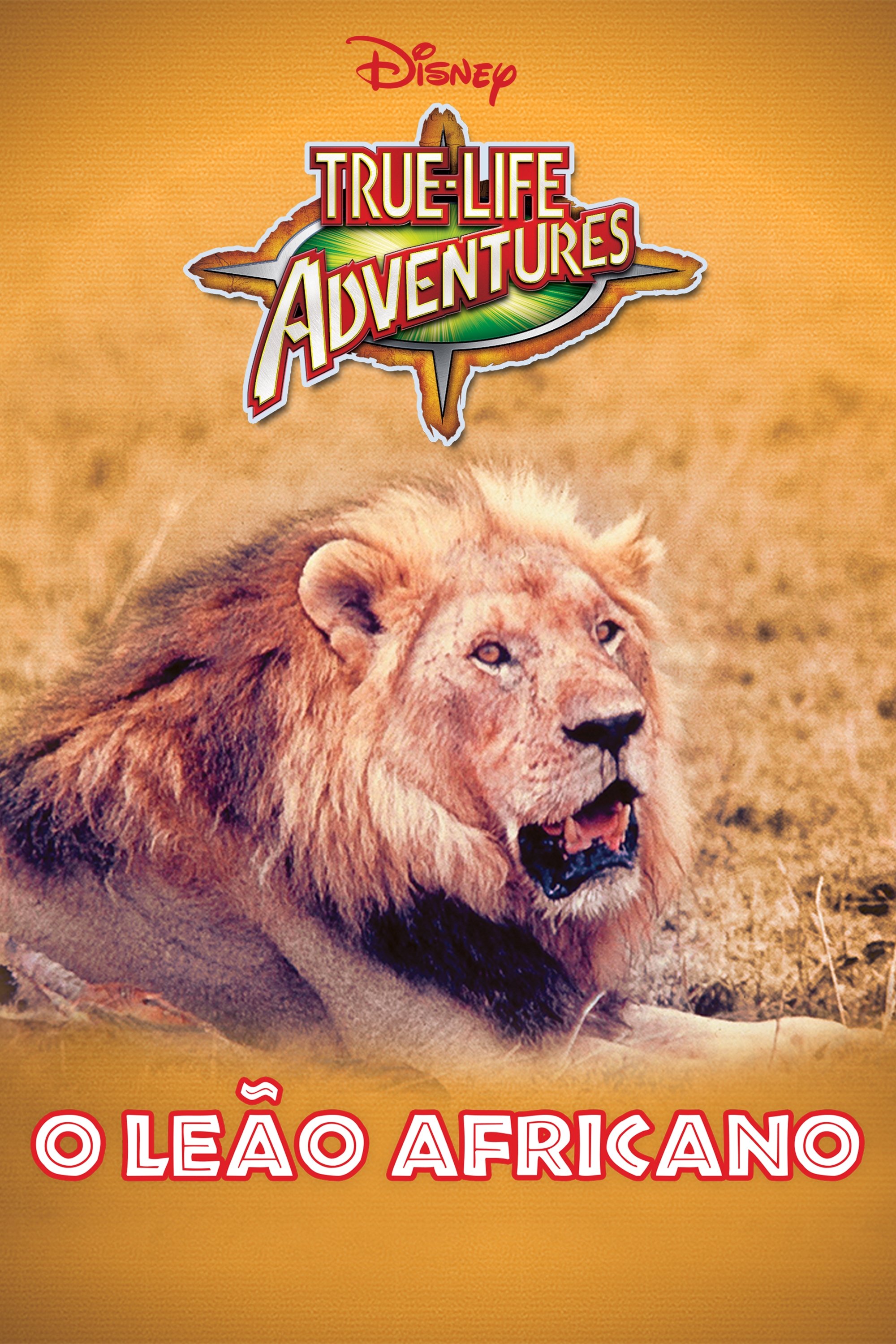 Poster de O Leão Africano