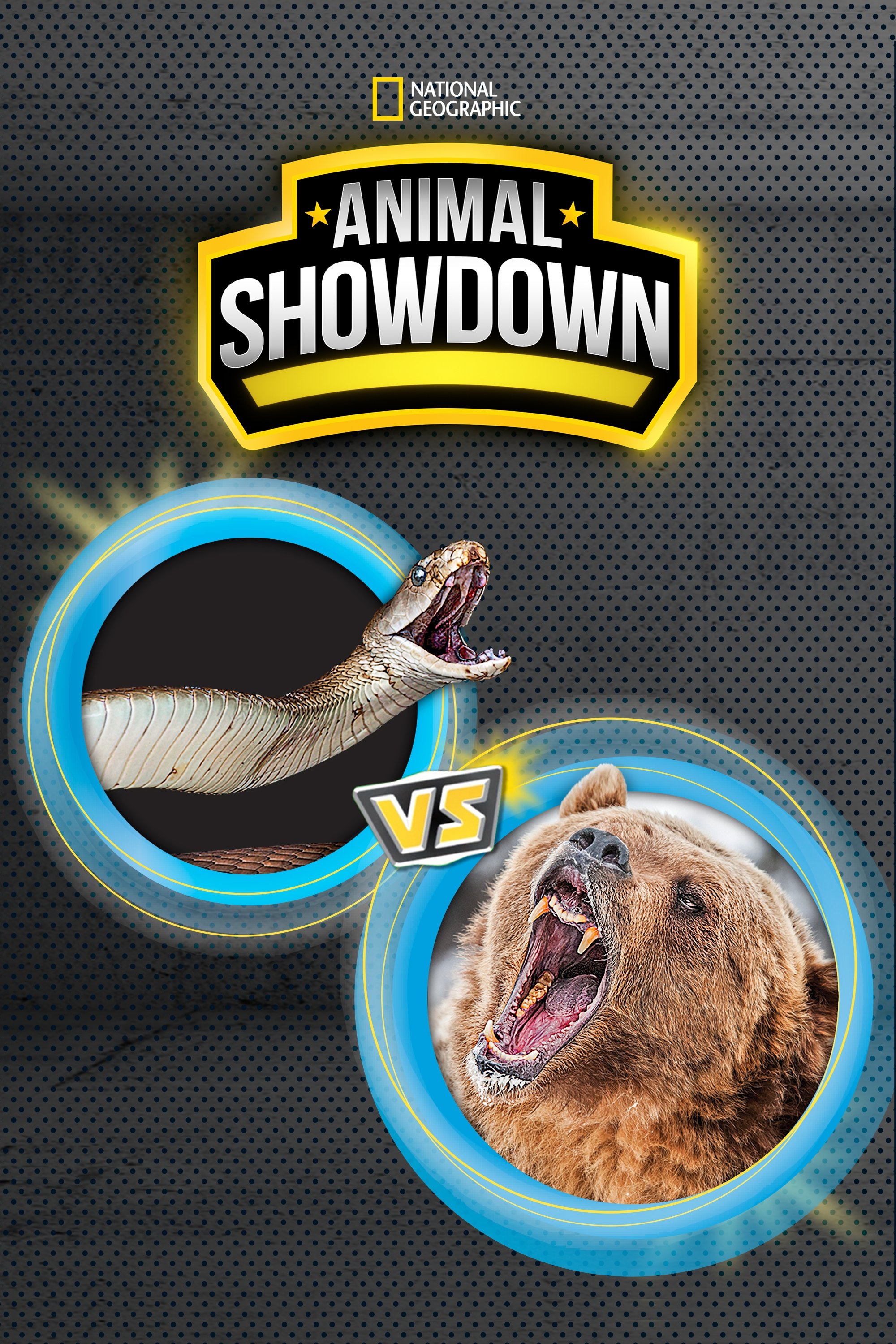 Poster of Animal Showdown