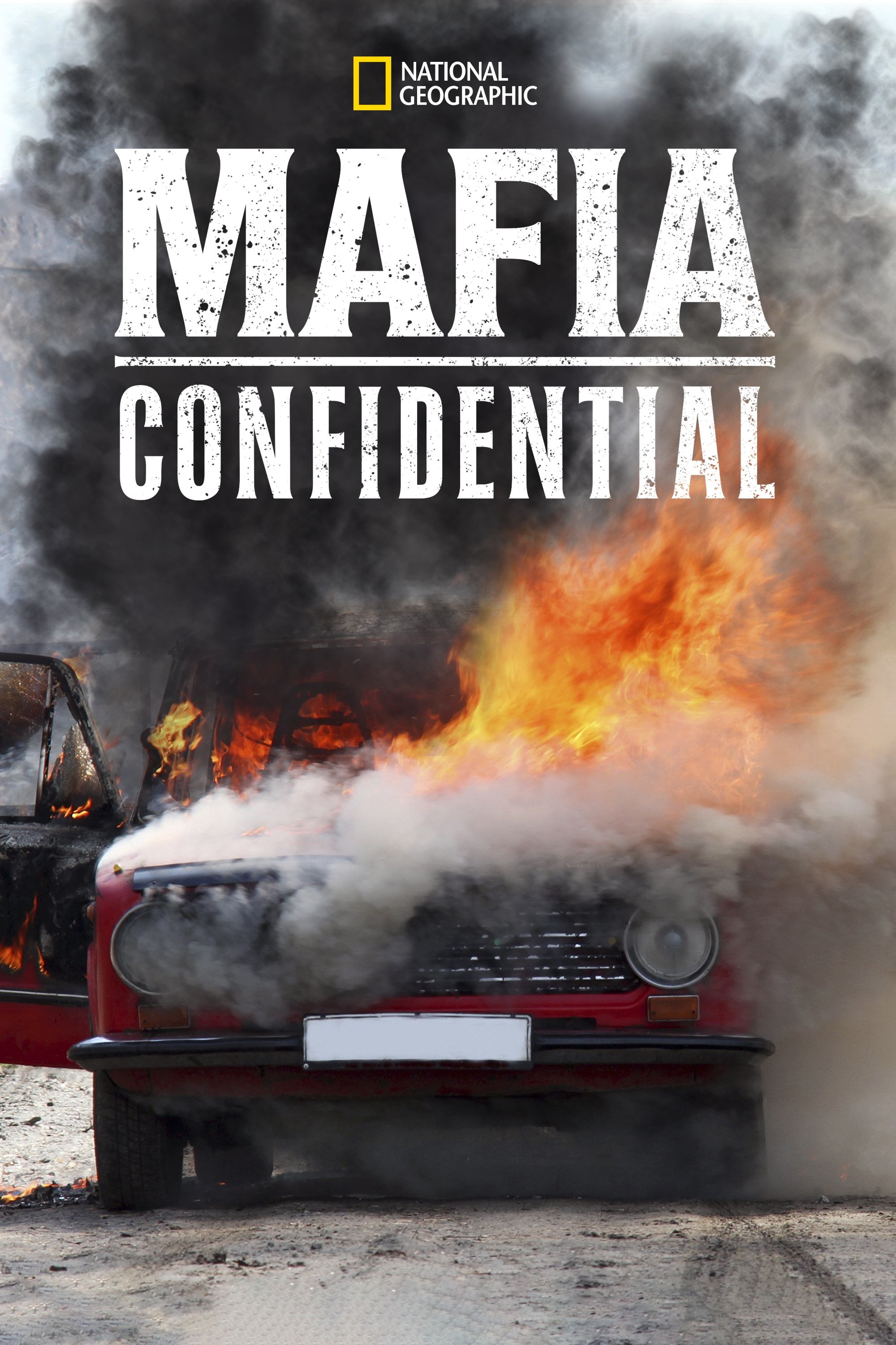 Poster de Mafia Confidential