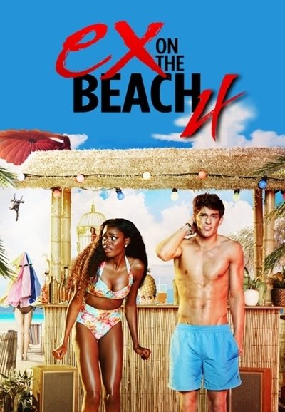 Poster de Temporada 4