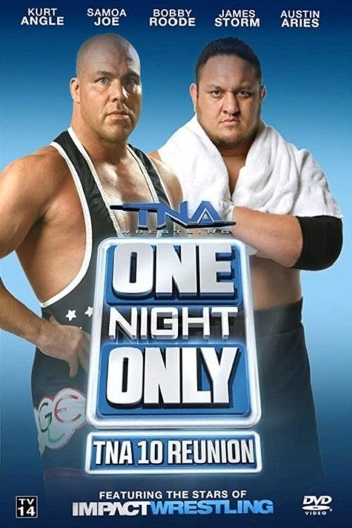 Affiche du film TNA One Night Only: 10 Reunion 2013