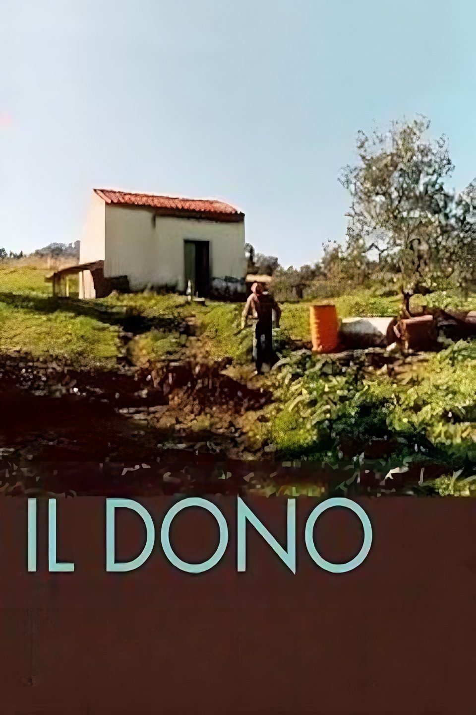 Poster de Il dono