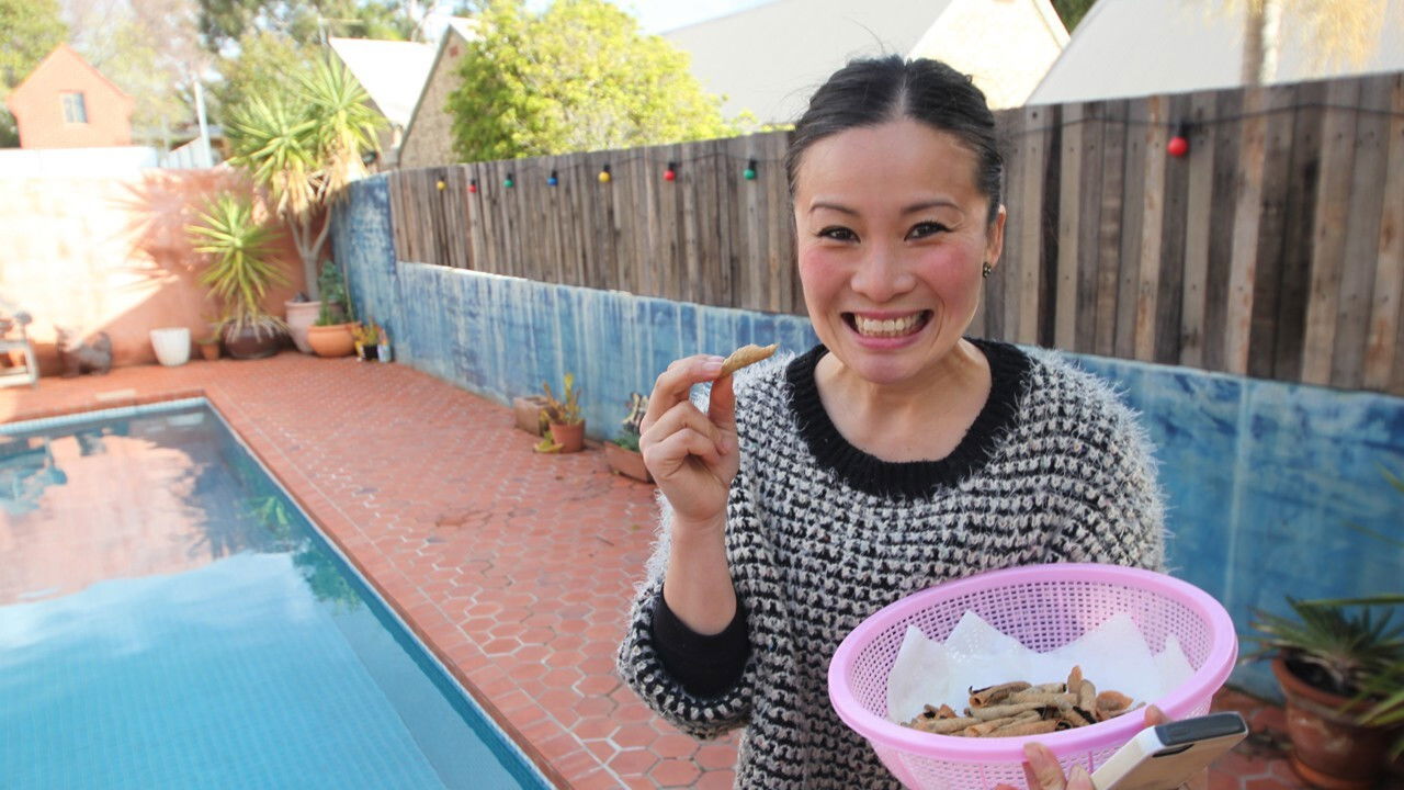 From the Garden to the Sea and Back to Mum's Kitchen