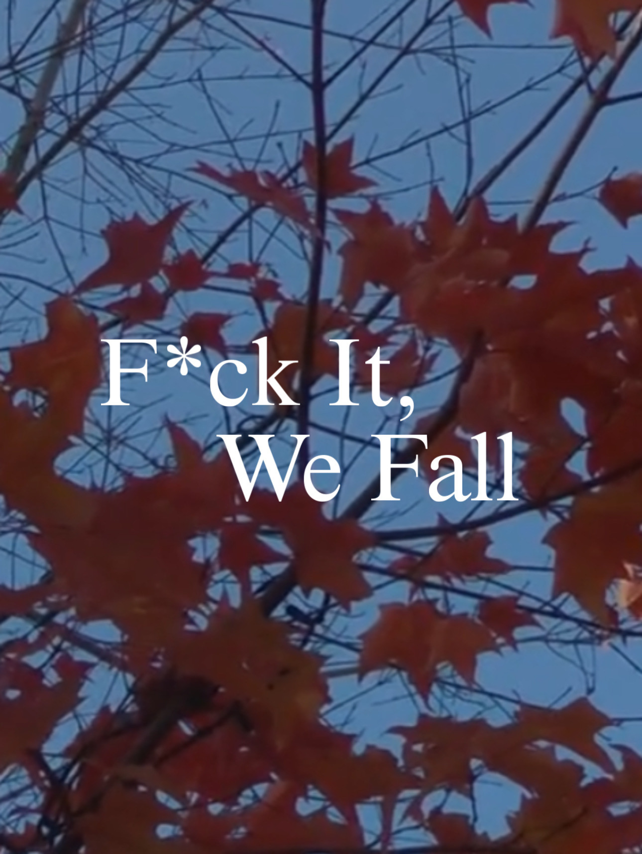 F*ck It, We Fall