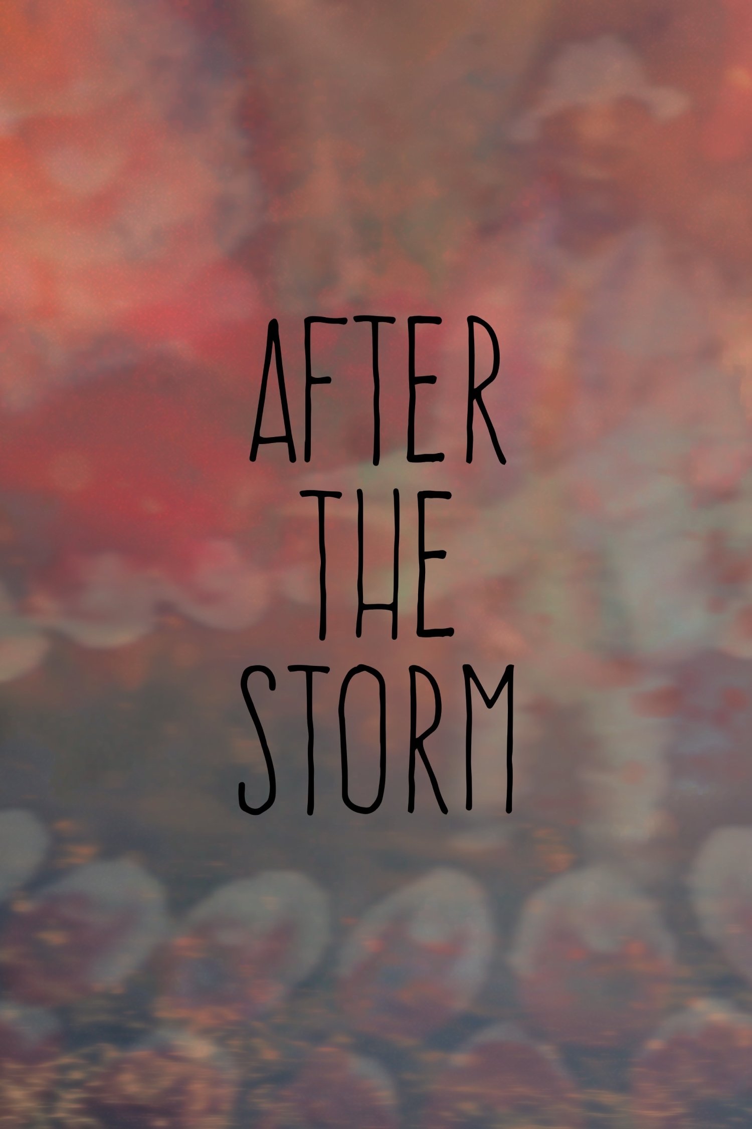 Poster de After the Storm