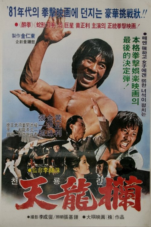 Poster de 천용란