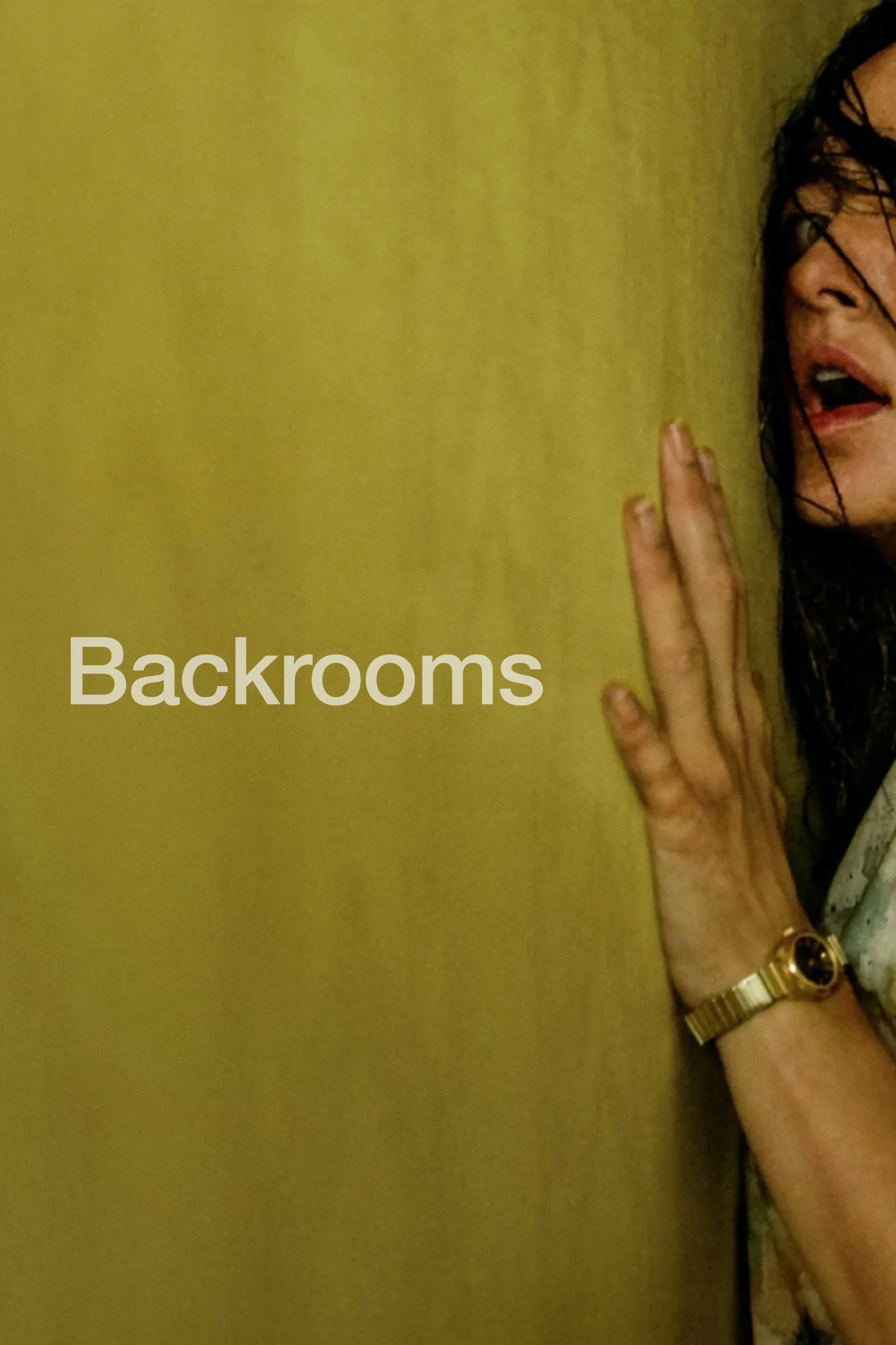 Backrooms poster