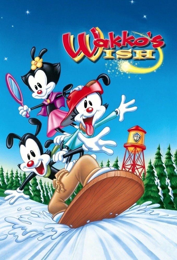 Affiche du film Wakko et l'étoile magique