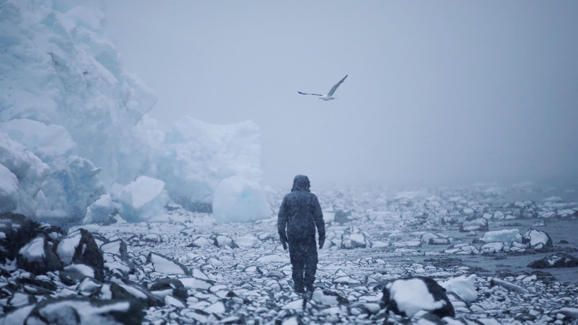 After Antarctica 2021 123movies