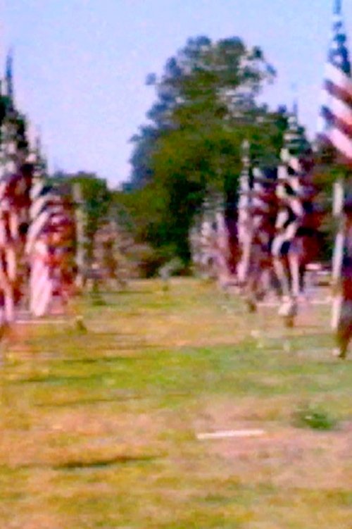 Poster de Towards Intuition: An American Landscape