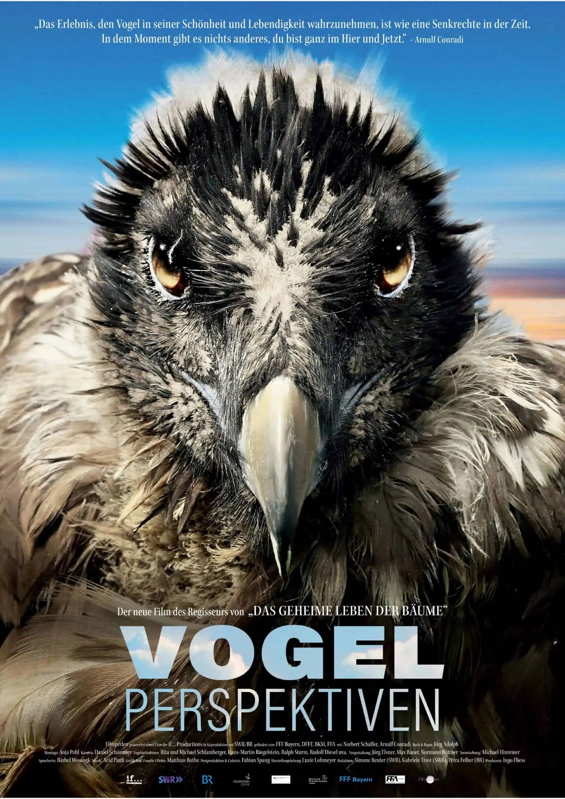 Poster for Bird's Eyeview